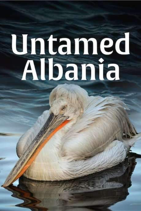 Untamed Albania
